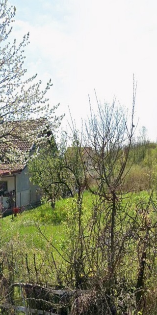 Boždarevac - PLAC
